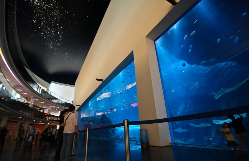 аквариум в Dubai Moll