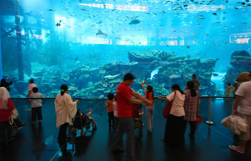 аквариум в Dubai Moll